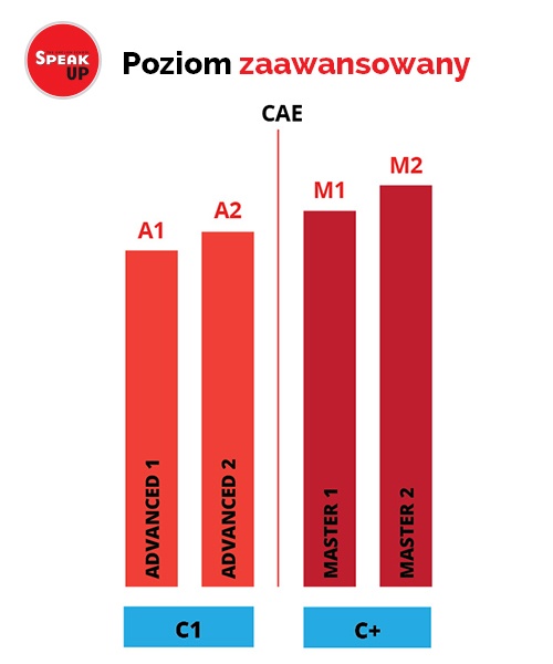 proces_SU_zaawansowany